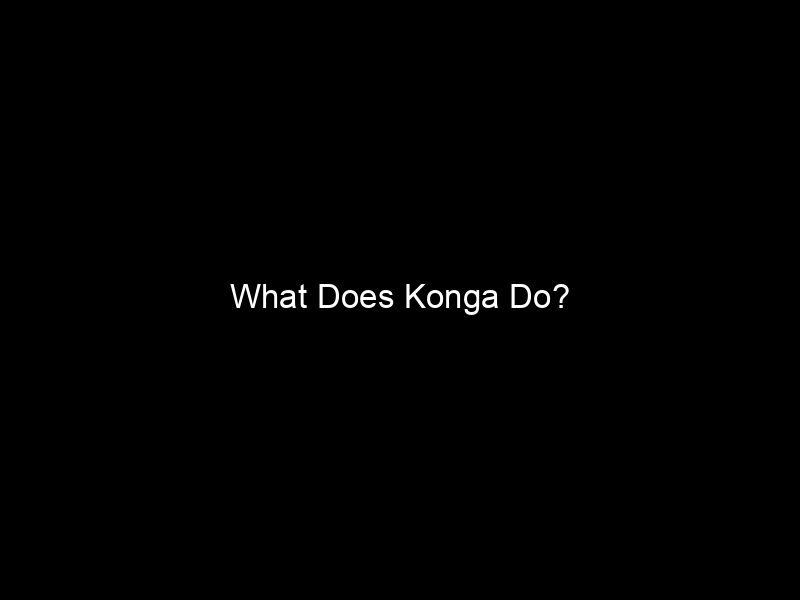 What Does Konga Do?