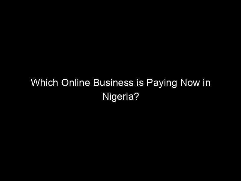 Which Online Business Is Paying Now In Nigeria?